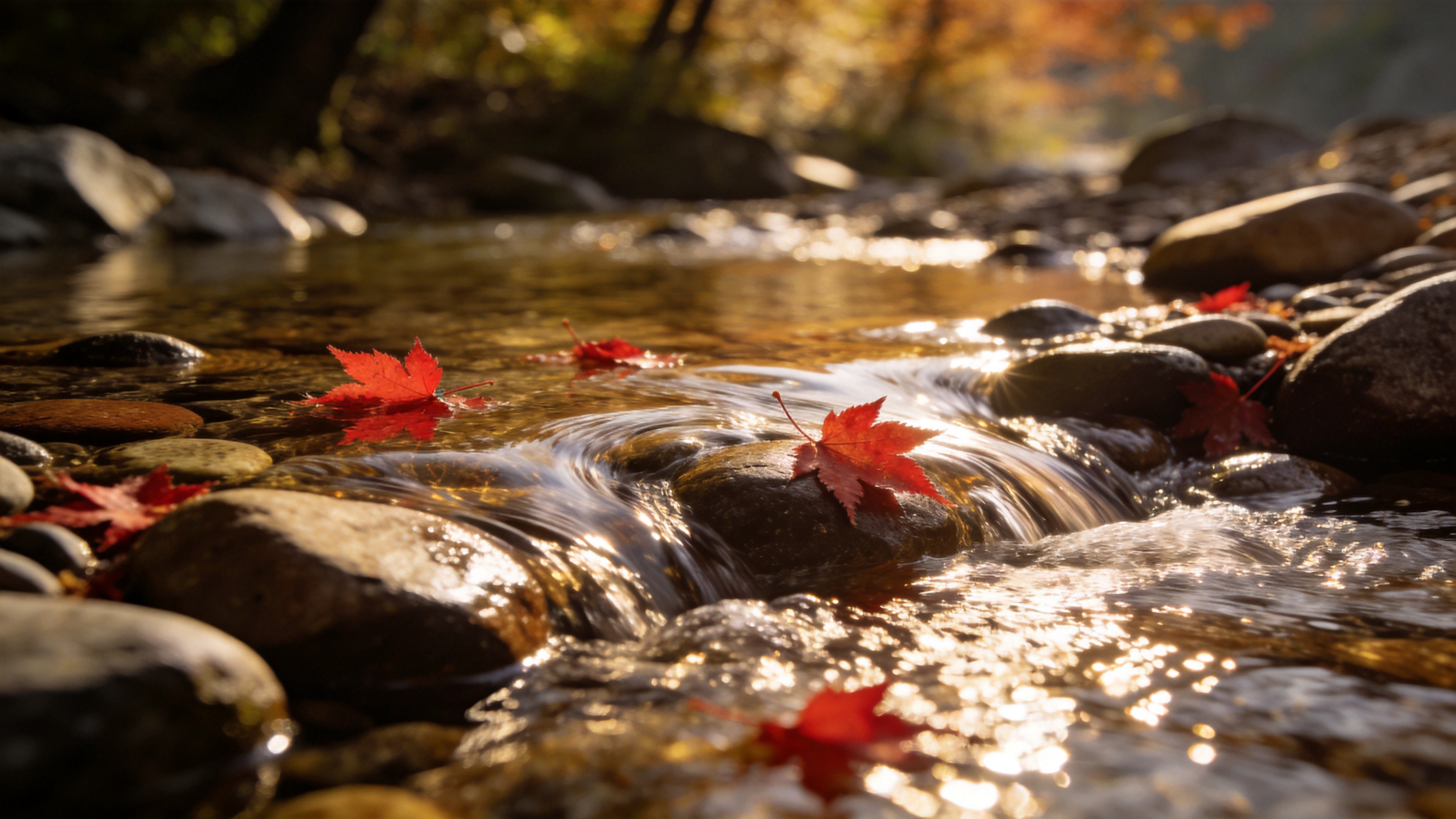 Water Zen 0602